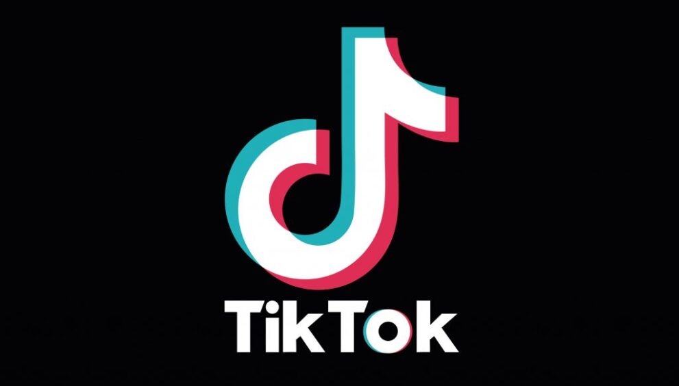 Unveiling the Power of TikTok Marketing for Every Business